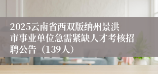 2025云南省西双版纳州景洪市事业单位急需紧缺人才考核招聘公告（139人）