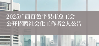 2025广西百色平果市总工会公开招聘社会化工作者2人公告