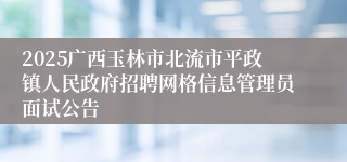 2025广西玉林市北流市平政镇人民政府招聘网格信息管理员面试公告