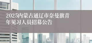 2025内蒙古通辽市奈曼旗青年见习人员招募公告