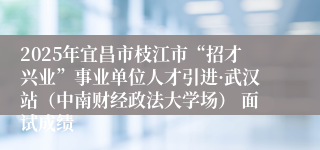 2025年宜昌市枝江市“招才兴业”事业单位人才引进·武汉站（中南财经政法大学场） 面试成绩