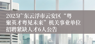 2025广东云浮市云安区“粤聚英才粤见未来”机关事业单位招聘紧缺人才6人公告