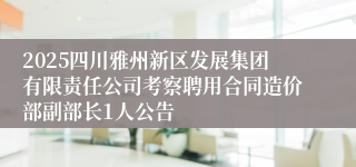 2025四川雅州新区发展集团有限责任公司考察聘用合同造价部副部长1人公告