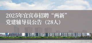 2025年宜宾市招聘“两新”党建辅导员公告（28人）