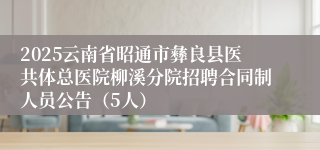 2025云南省昭通市彝良县医共体总医院柳溪分院招聘合同制人员公告（5人）