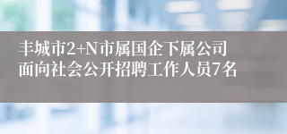 丰城市2+N市属国企下属公司面向社会公开招聘工作人员7名