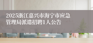 2025浙江嘉兴市海宁市应急管理局派遣招聘1人公告