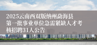 2025云南西双版纳州勐海县第一批事业单位急需紧缺人才考核招聘31人公告