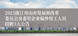 2025浙江舟山市发展和改革委员会及委管企业编外用工人员招聘3人公告