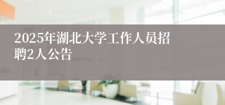 2025年湖北大学工作人员招聘2人公告