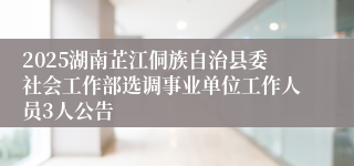2025湖南芷江侗族自治县委社会工作部选调事业单位工作人员3人公告