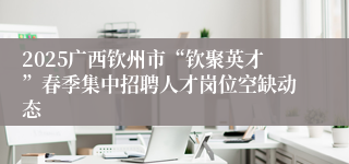 2025广西钦州市“钦聚英才”春季集中招聘人才岗位空缺动态