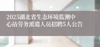 2025湖北省生态环境监测中心站劳务派遣人员招聘5人公告