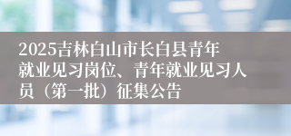2025吉林白山市长白县青年就业见习岗位、青年就业见习人员（第一批）征集公告
