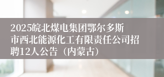 2025皖北煤电集团鄂尔多斯市西北能源化工有限责任公司招聘12人公告（内蒙古）