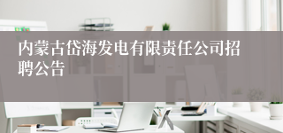 内蒙古岱海发电有限责任公司招聘公告 