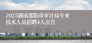 2025湖南邵阳市审计局专业技术人员招聘4人公告