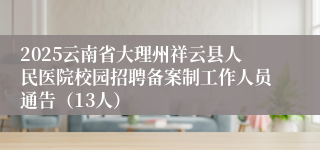 2025云南省大理州祥云县人民医院校园招聘备案制工作人员通告（13人）