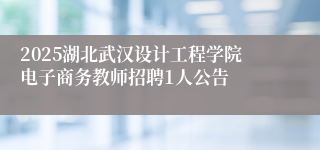 2025湖北武汉设计工程学院电子商务教师招聘1人公告