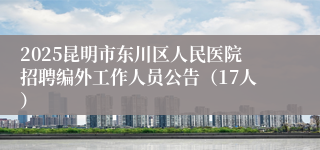 2025昆明市东川区人民医院招聘编外工作人员公告（17人）