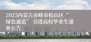 2025内蒙古赤峰市松山区“绿色通道” 引进高校毕业生递补公告