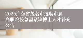 2025广东省茂名市选聘市属高职院校急需紧缺博士人才补充公告