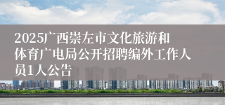 2025广西崇左市文化旅游和体育广电局公开招聘编外工作人员1人公告