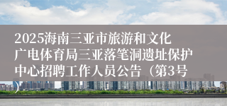 2025海南三亚市旅游和文化广电体育局三亚落笔洞遗址保护中心招聘工作人员公告（第3号）