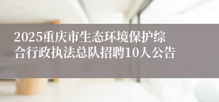 2025重庆市生态环境保护综合行政执法总队招聘10人公告
