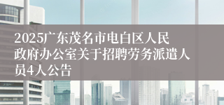 2025广东茂名市电白区人民政府办公室关于招聘劳务派遣人员4人公告