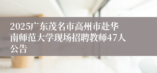 2025广东茂名市高州市赴华南师范大学现场招聘教师47人公告