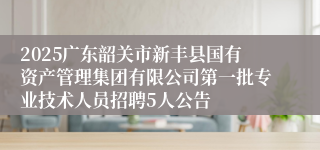 2025广东韶关市新丰县国有资产管理集团有限公司第一批专业技术人员招聘5人公告