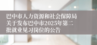 巴中市人力资源和社会保障局 关于发布巴中市2025年第二批就业见习岗位的公告