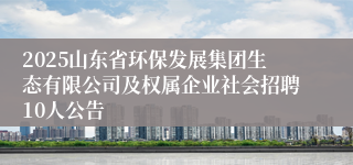 2025山东省环保发展集团生态有限公司及权属企业社会招聘10人公告
