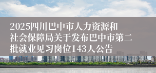 2025四川巴中市人力资源和社会保障局关于发布巴中市第二批就业见习岗位143人公告