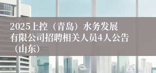 2025上控（青岛）水务发展有限公司招聘相关人员4人公告（山东）