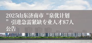 2025山东济南市“泉优计划”引进急需紧缺专业人才87人公告