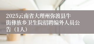 2025云南省大理州弥渡县牛街彝族乡卫生院招聘编外人员公告（1人）