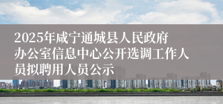 2025年咸宁通城县人民政府办公室信息中心公开选调工作人员拟聘用人员公示