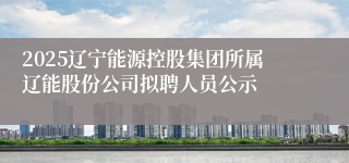 2025辽宁能源控股集团所属辽能股份公司拟聘人员公示