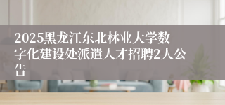 2025黑龙江东北林业大学数字化建设处派遣人才招聘2人公告