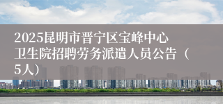 2025昆明市晋宁区宝峰中心卫生院招聘劳务派遣人员公告（5人）