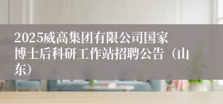 2025威高集团有限公司国家博士后科研工作站招聘公告（山东）
