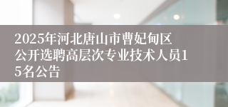 2025年河北唐山市曹妃甸区公开选聘高层次专业技术人员15名公告