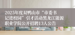 2025年度双鸭山市“市委书记进校园”引才活动黑龙江能源职业学院公开招聘13人公告