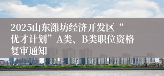2025山东潍坊经济开发区“优才计划”A类、B类职位资格复审通知
