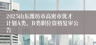 2025山东潍坊市高密市优才计划A类、B类职位资格复审公告