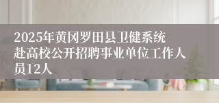 2025年黄冈罗田县卫健系统赴高校公开招聘事业单位工作人员12人
