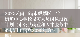 2025云南曲靖市麒麟区三宝街道中心学校见习人员岗位设置计划（市公共就业和人才服务中心招用工信息2025年第44期）