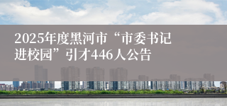 2025年度黑河市“市委书记进校园”引才446人公告
